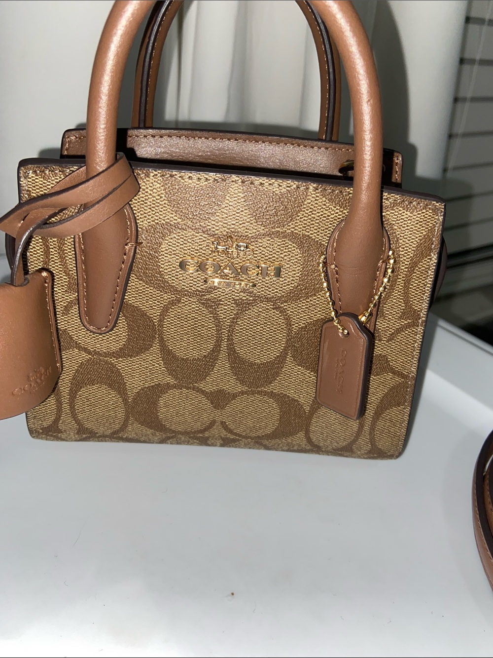 COACH Mini Andrea Carryall - Picture 9 of 11